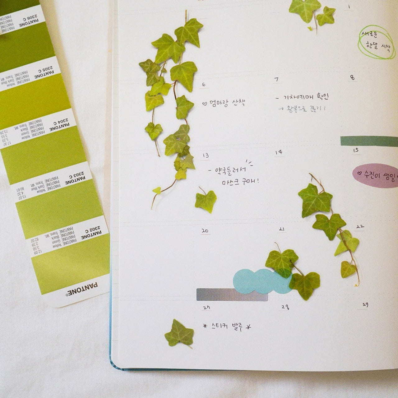 Appree Pressed Flower Sticker - Ivy