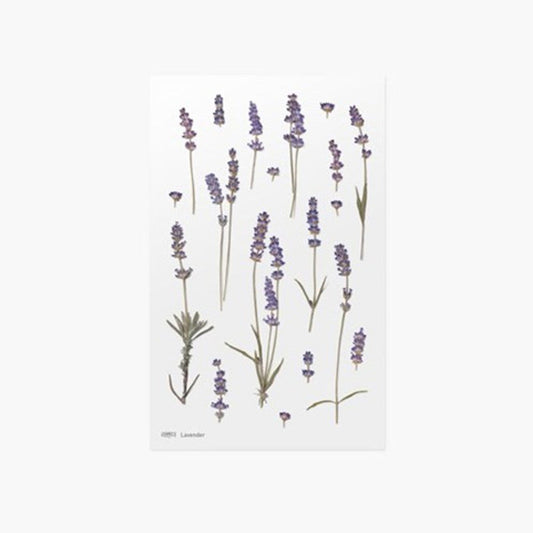Appree Pressed Flower Sticker - Lavender