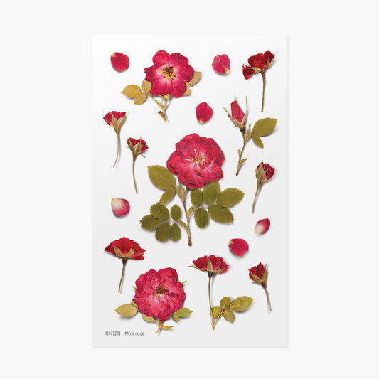 Appree Pressed Flower Sticker - Mini Rose