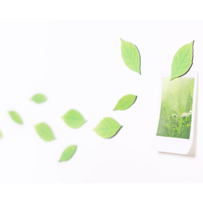 Appree Magnet - Birch