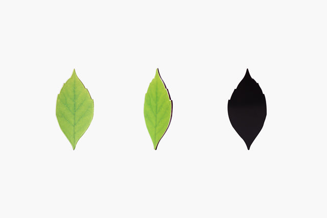 Appree Magnet - Birch
