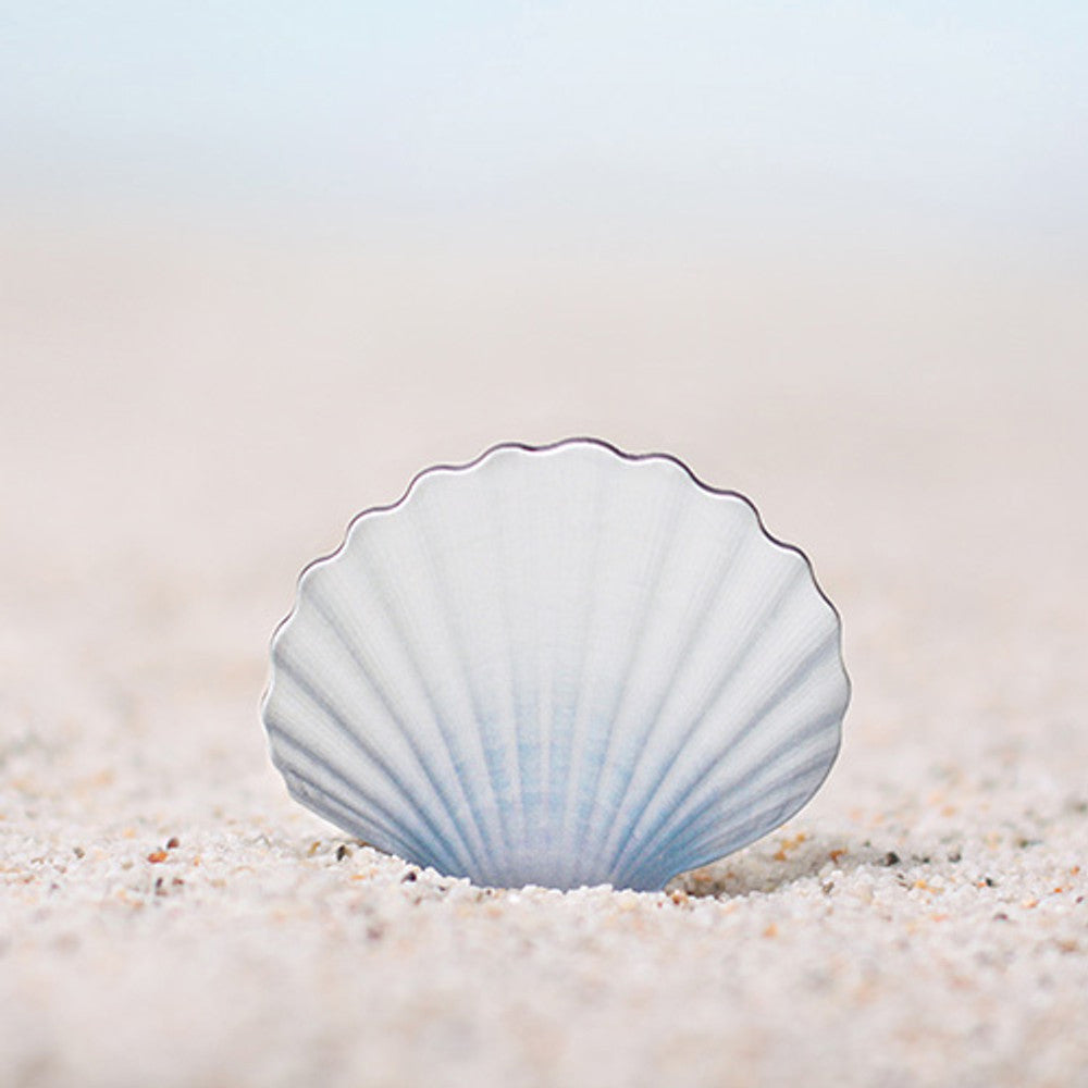 Appree Magnet - Scallop