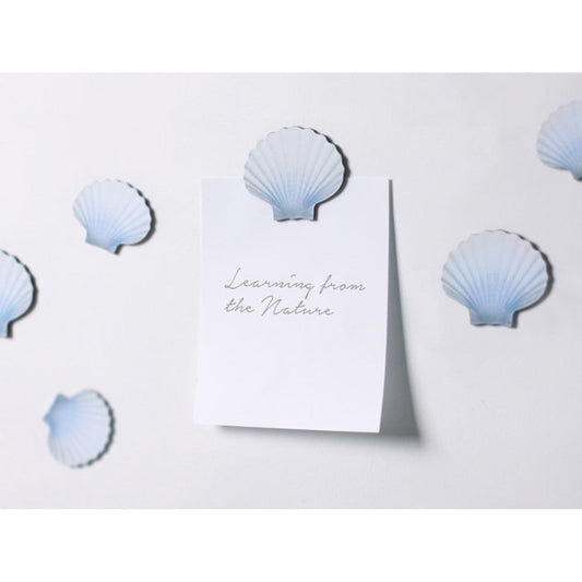 Appree Magnet - Scallop