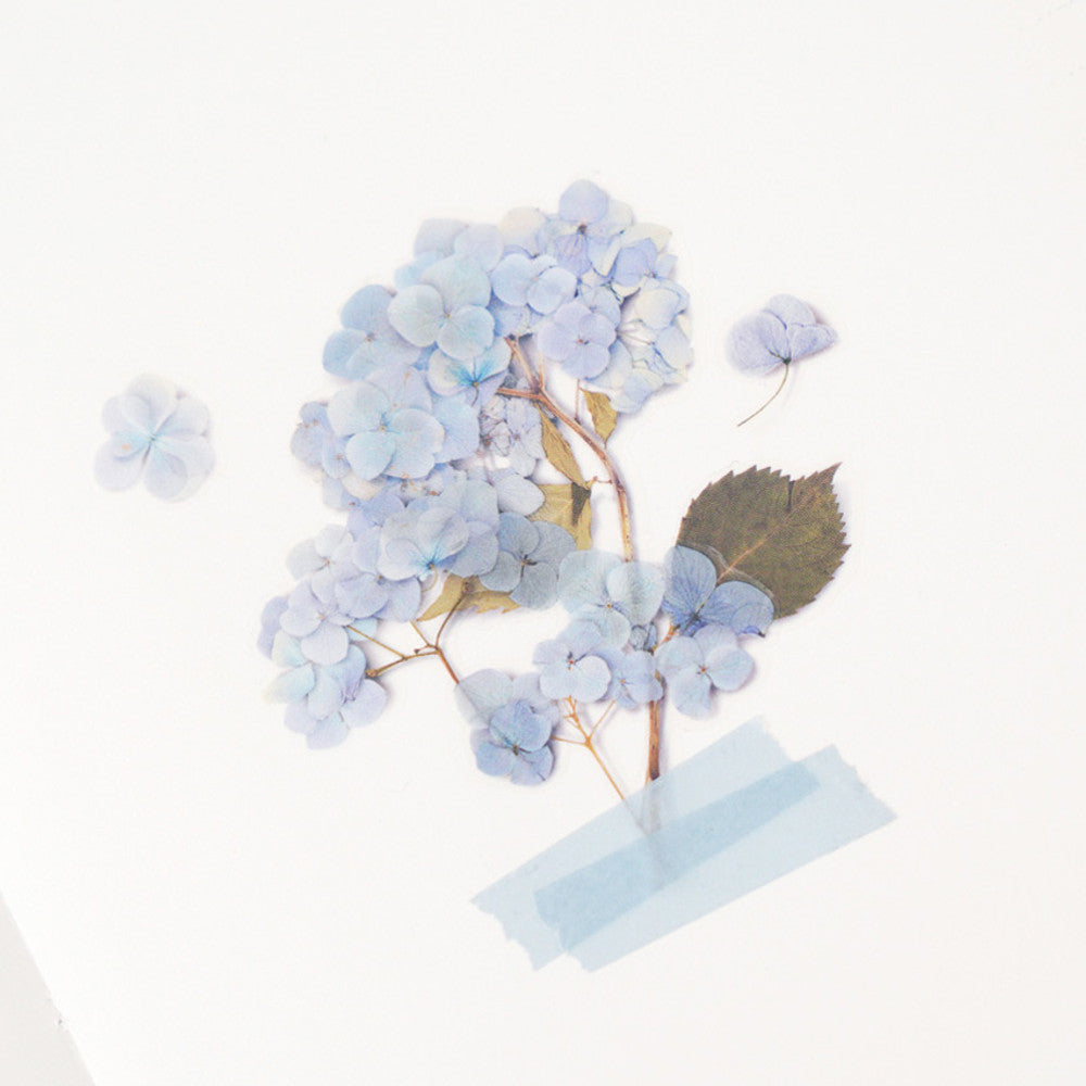 Appree Pressed Flower Sticker - Bigleaf Hydrangea