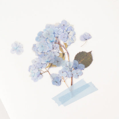 Appree Pressed Flower Sticker - Bigleaf Hydrangea