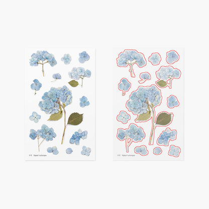 Appree Pressed Flower Sticker - Bigleaf Hydrangea