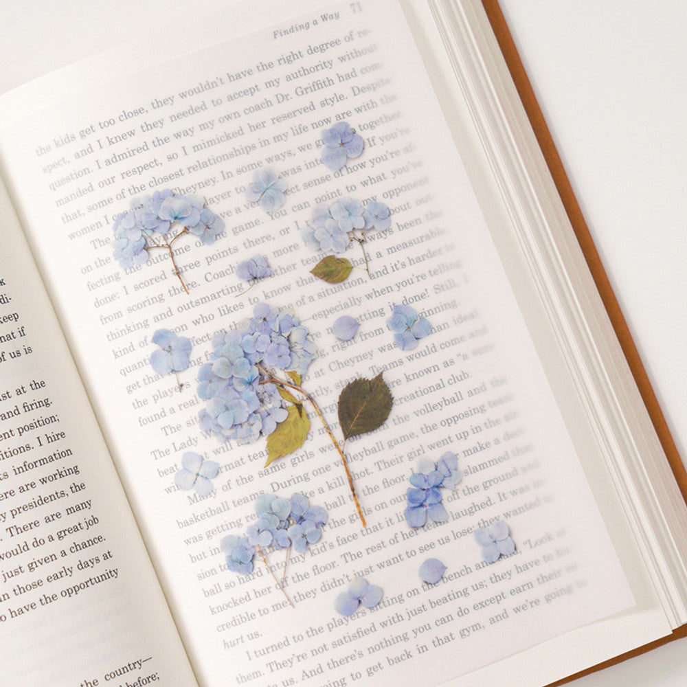 Appree Pressed Flower Sticker - Bigleaf Hydrangea