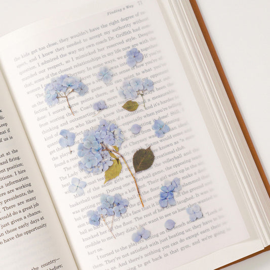Appree Pressed Flower Sticker - Bigleaf Hydrangea