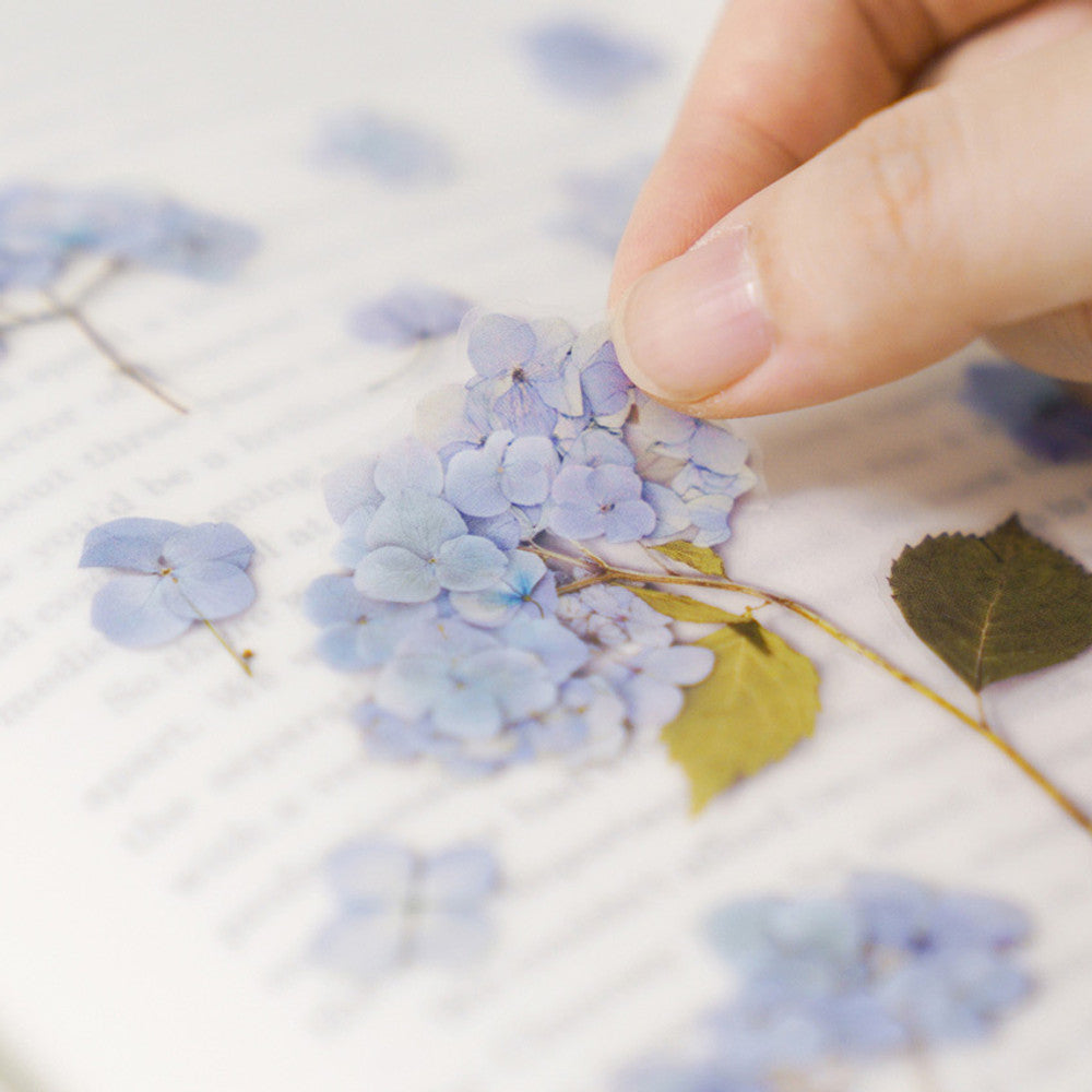 Appree Pressed Flower Sticker - Bigleaf Hydrangea