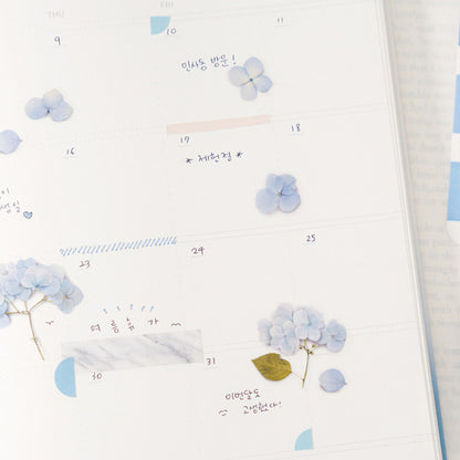 Appree Pressed Flower Sticker - Bigleaf Hydrangea