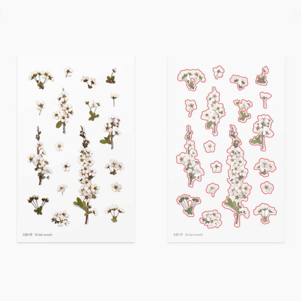 Appree Pressed Flower Sticker - Bridal Wreath