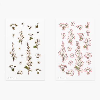 Appree Pressed Flower Sticker - Bridal Wreath