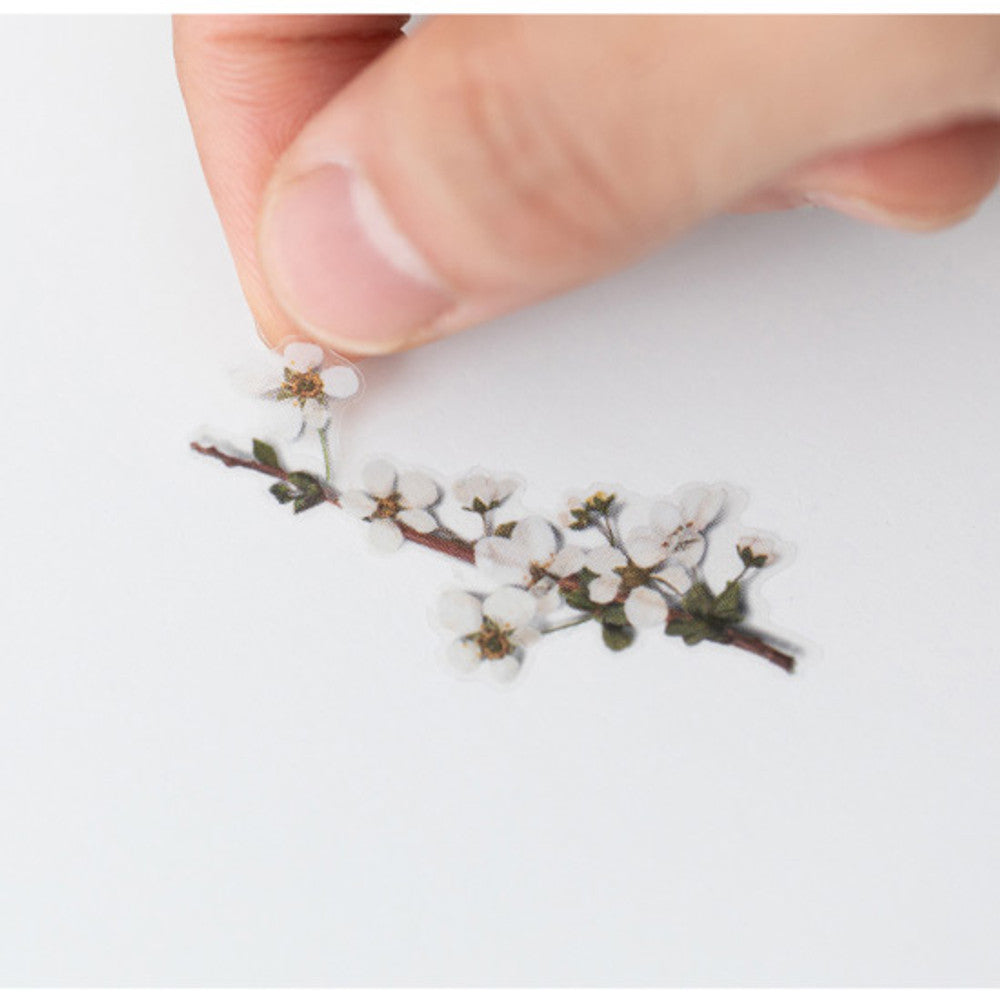 Appree Pressed Flower Sticker - Bridal Wreath