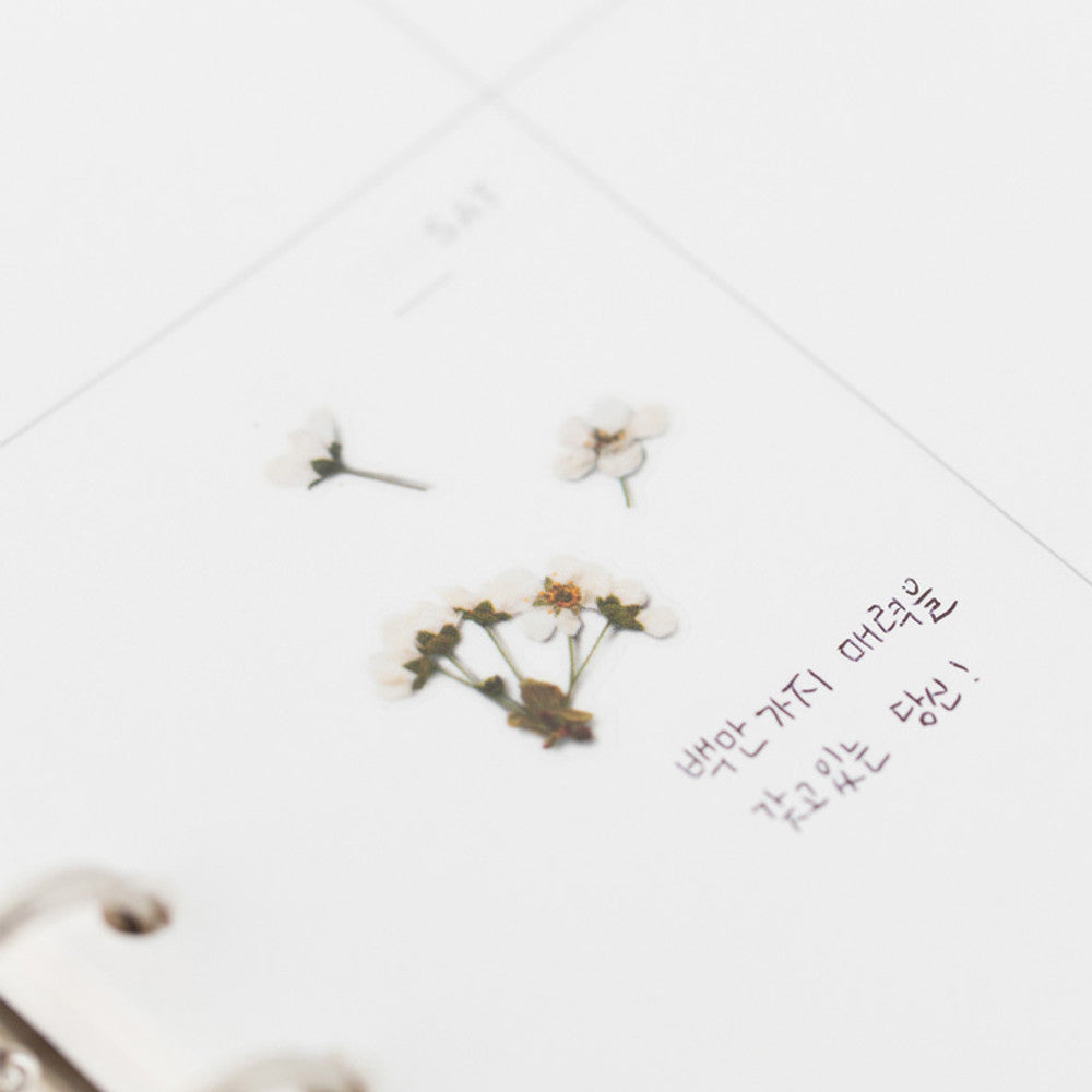 Appree Pressed Flower Sticker - Bridal Wreath