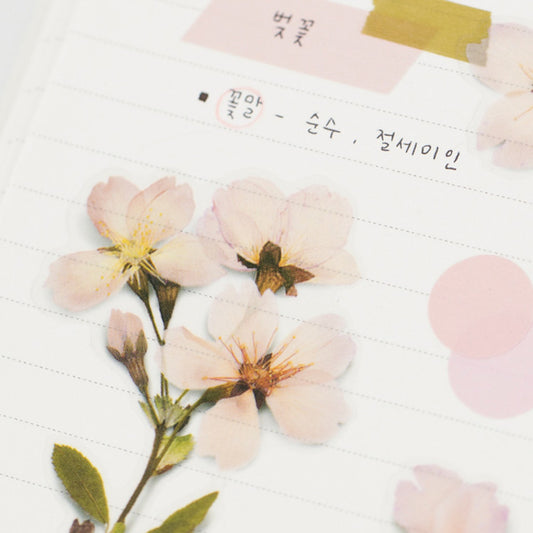 Appree Pressed Flower Sticker - Cherry Blossom
