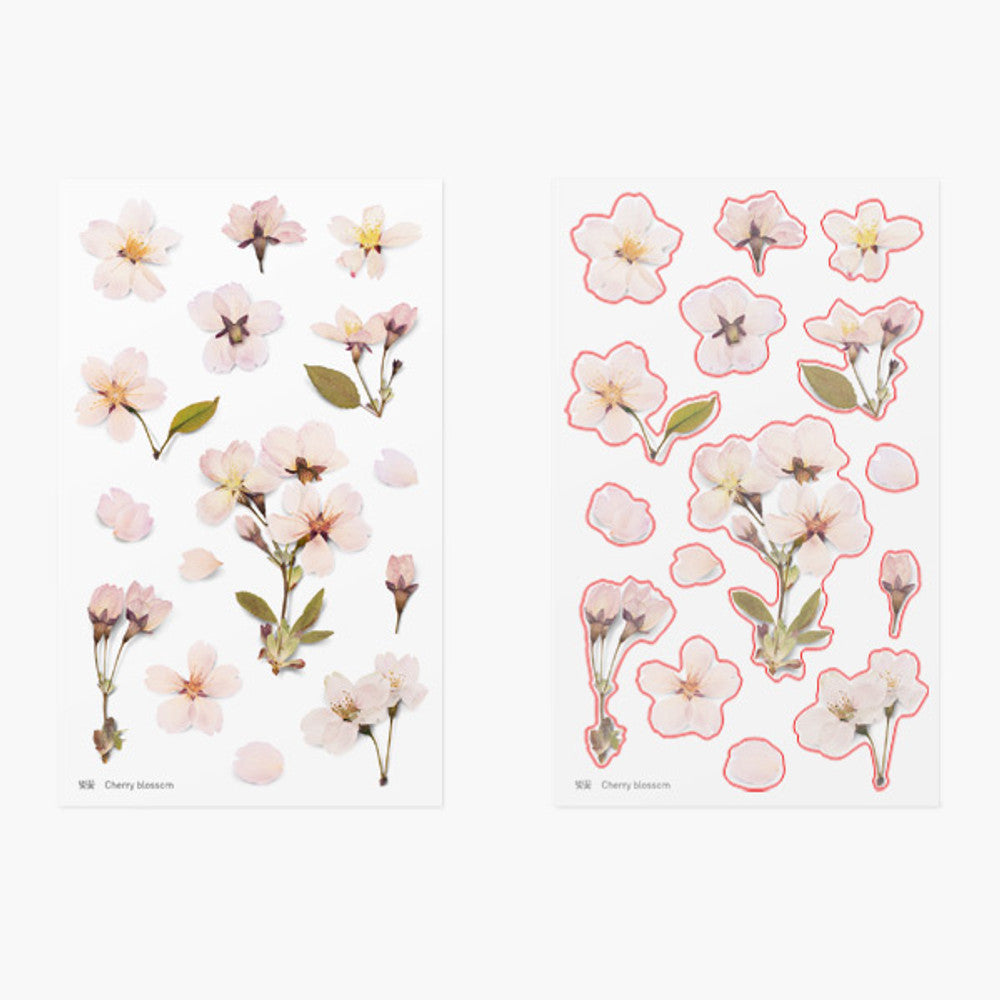 Appree Pressed Flower Sticker - Cherry Blossom