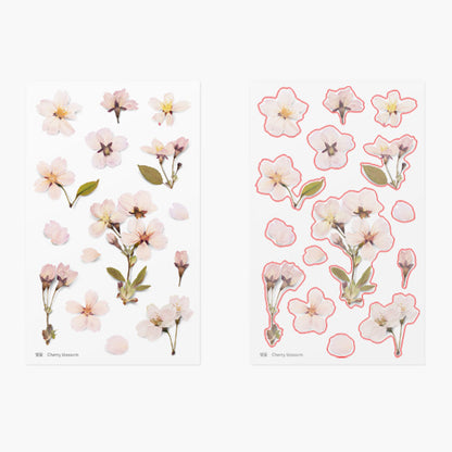 Appree Pressed Flower Sticker - Cherry Blossom