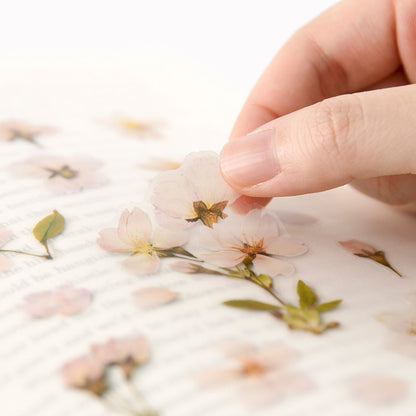 Appree Pressed Flower Sticker - Cherry Blossom