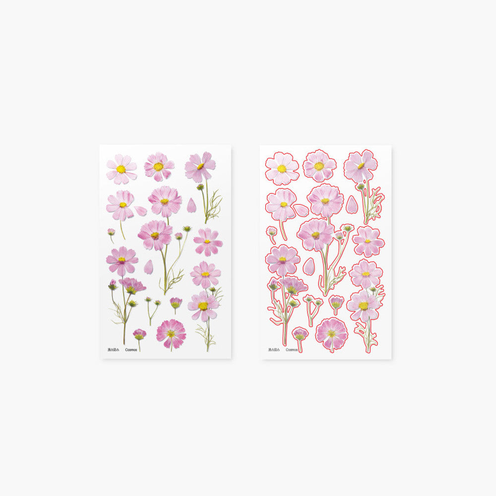 Appree Pressed Flower Sticker - Cosmos