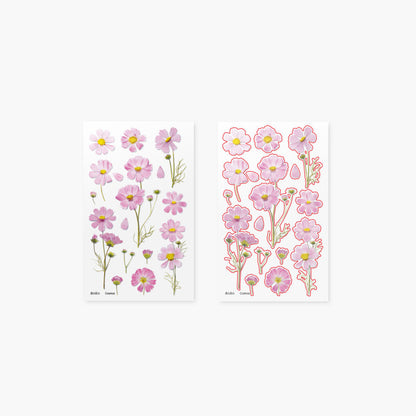 Appree Pressed Flower Sticker - Cosmos