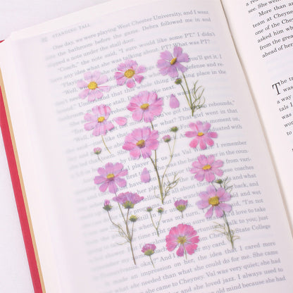 Appree Pressed Flower Sticker - Cosmos