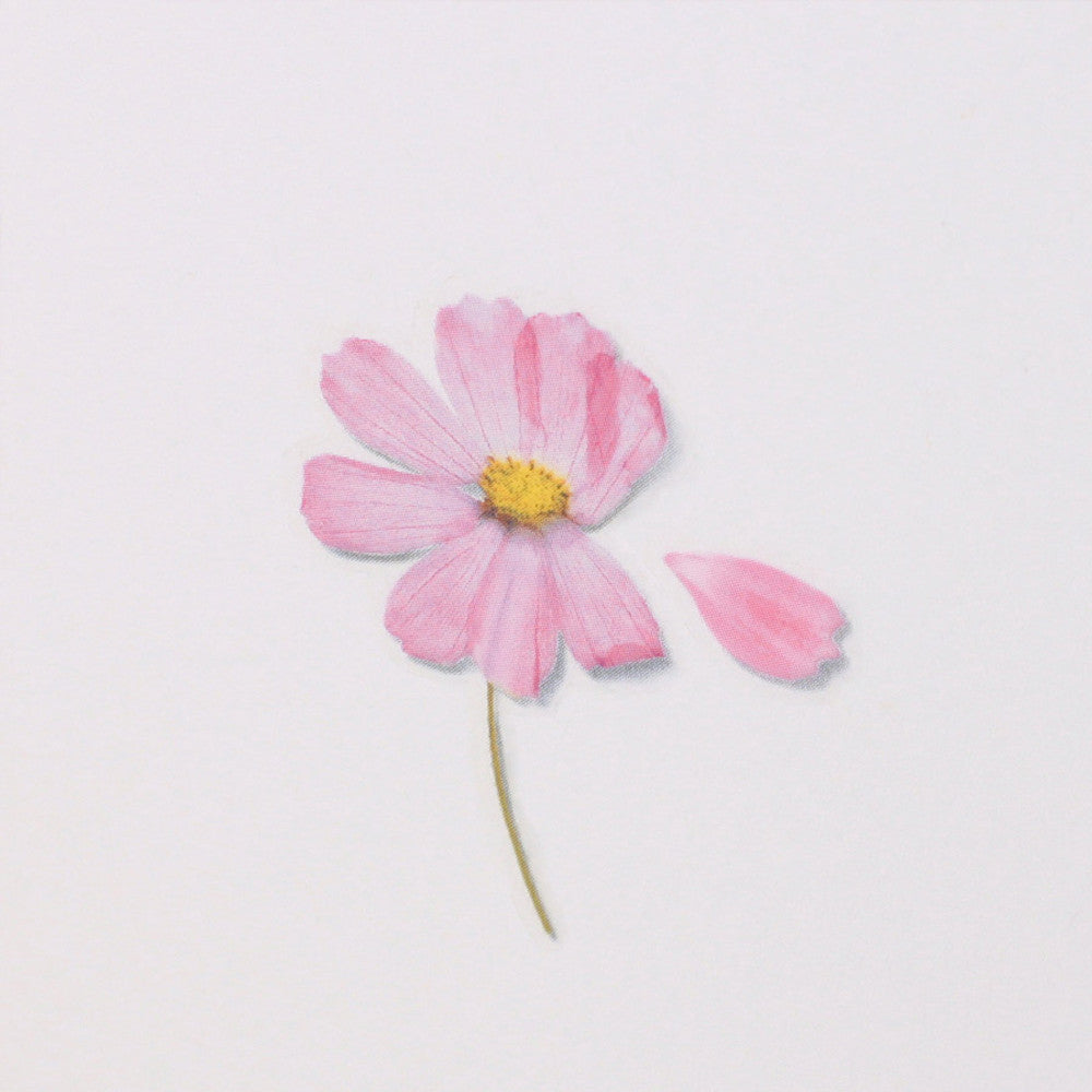 Appree Pressed Flower Sticker - Cosmos
