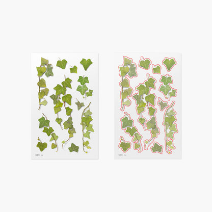 Appree Pressed Flower Sticker - Ivy