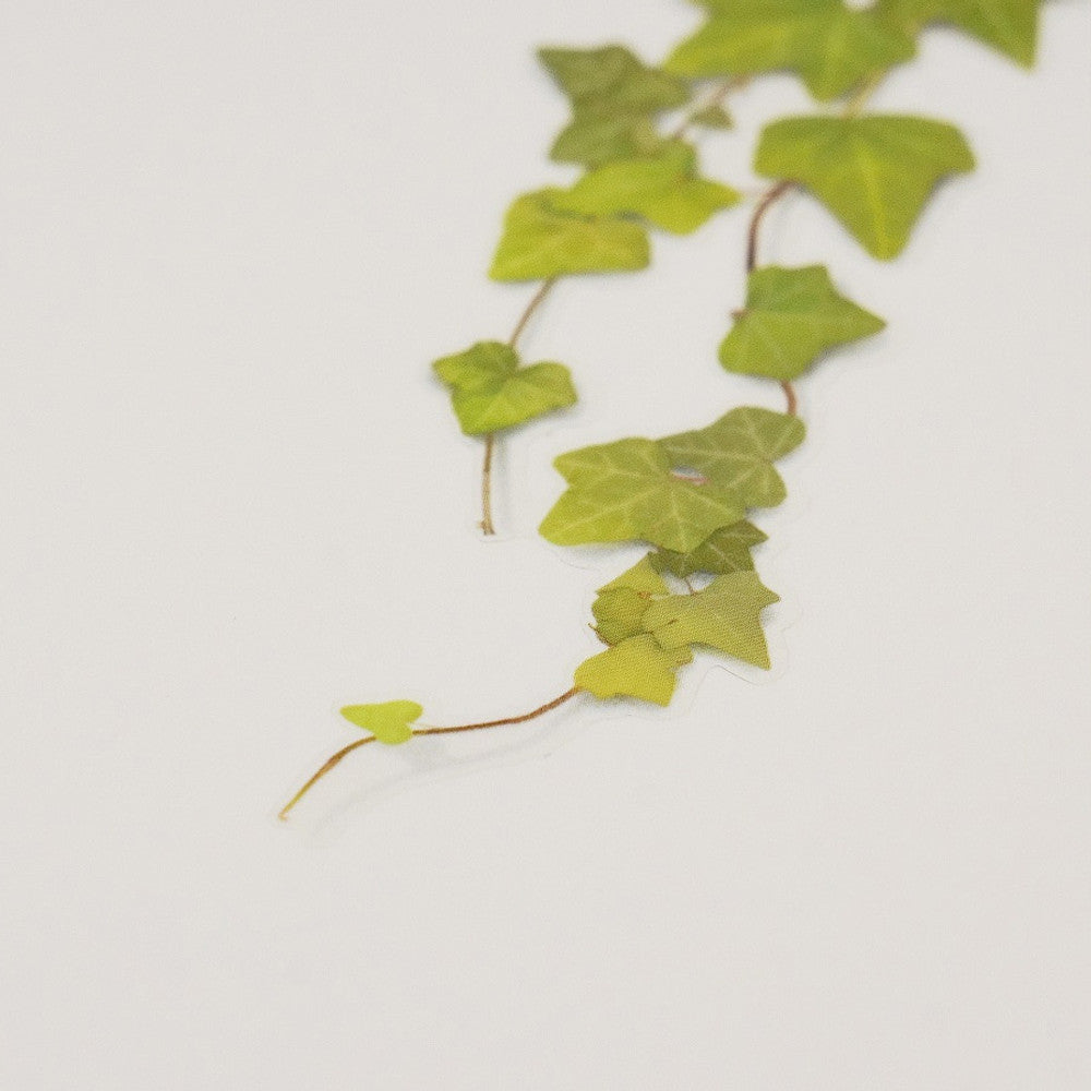 Appree Pressed Flower Sticker - Ivy
