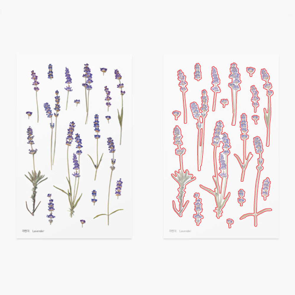 Appree Pressed Flower Sticker - Lavender