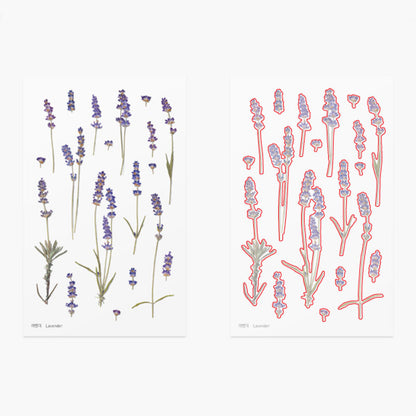 Appree Pressed Flower Sticker - Lavender