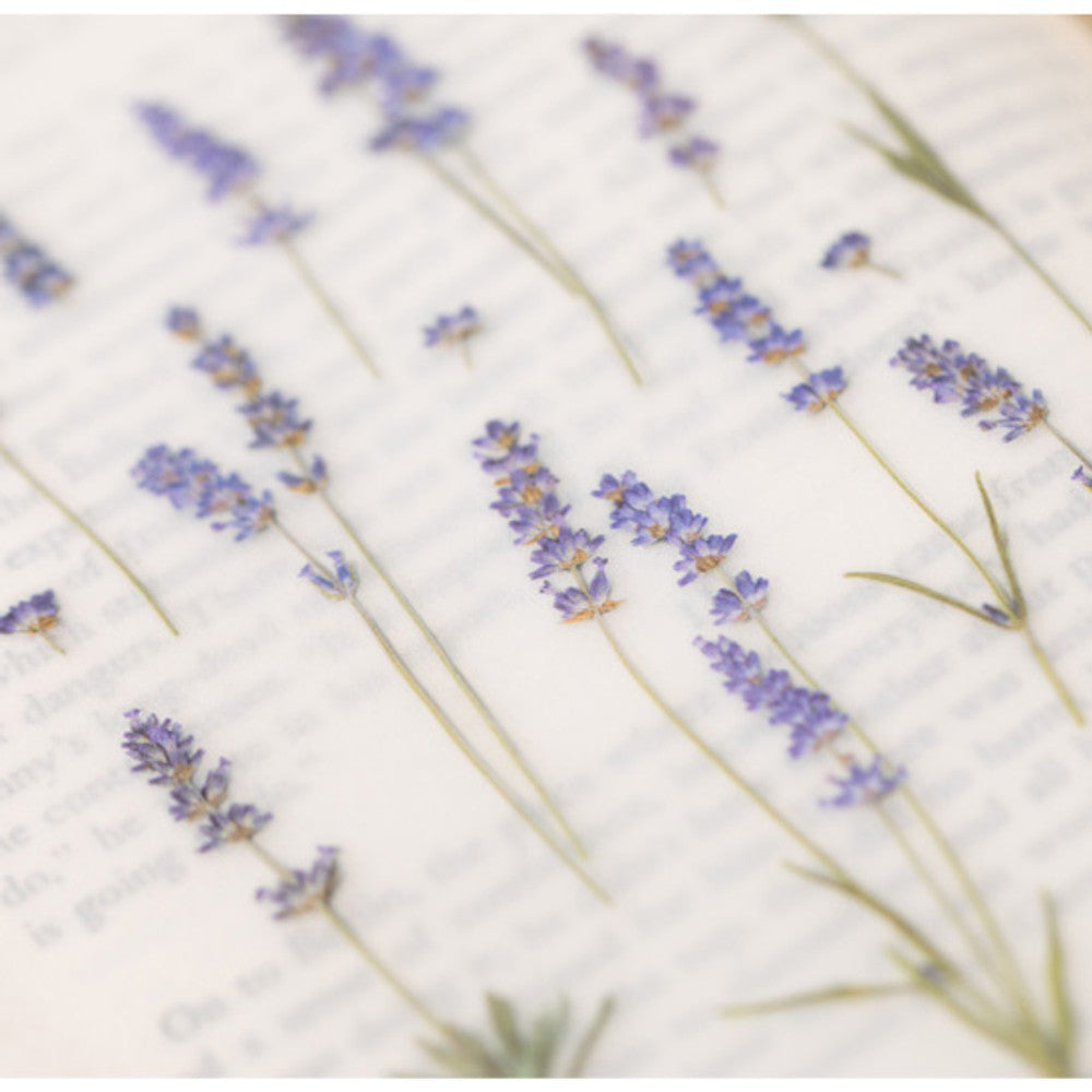 Appree Pressed Flower Sticker - Lavender