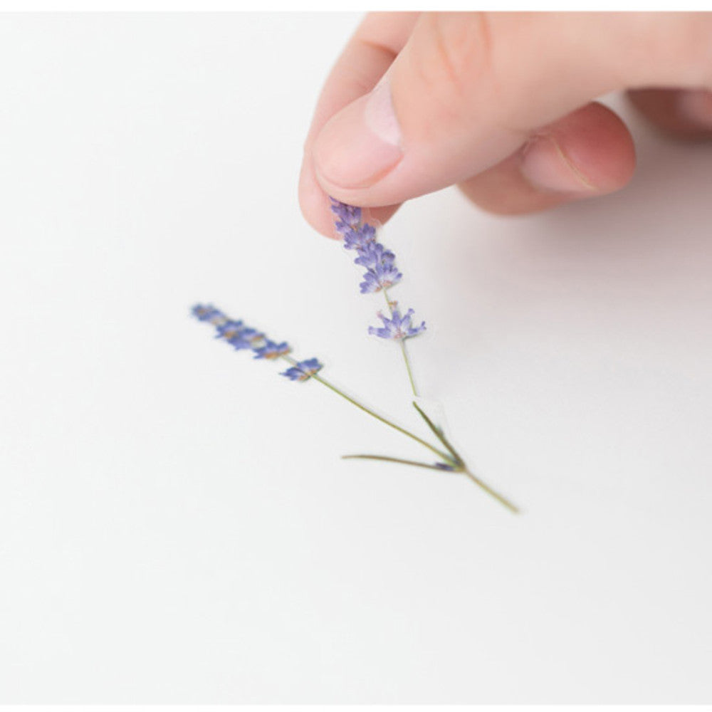 Appree Pressed Flower Sticker - Lavender