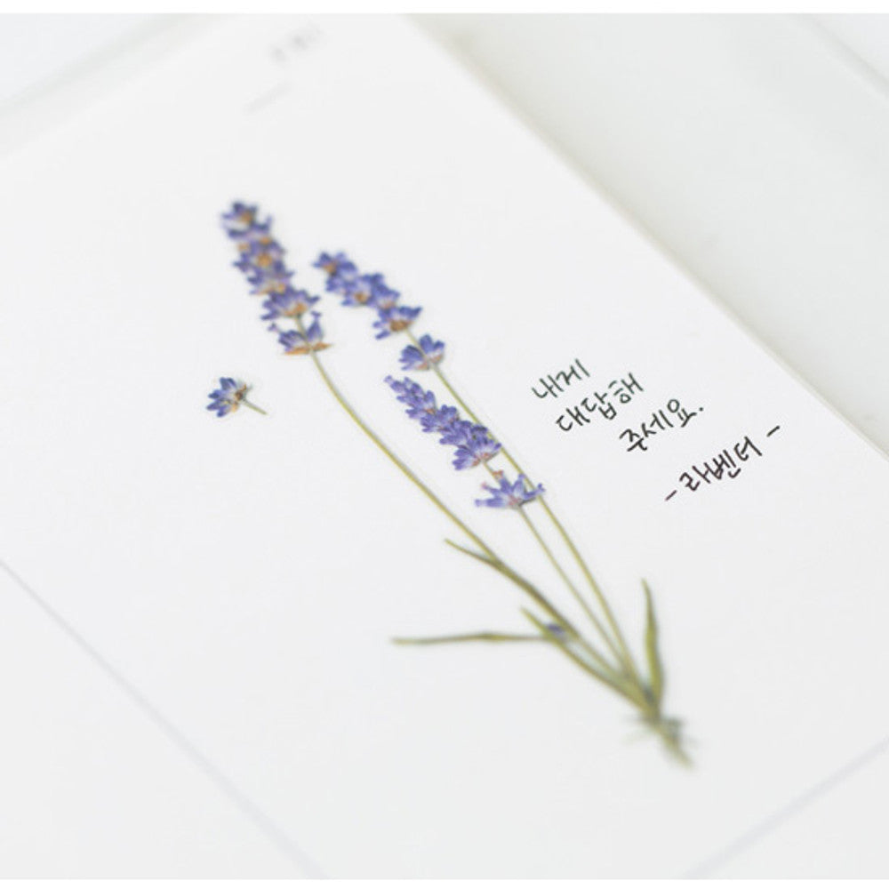 Appree Pressed Flower Sticker - Lavender