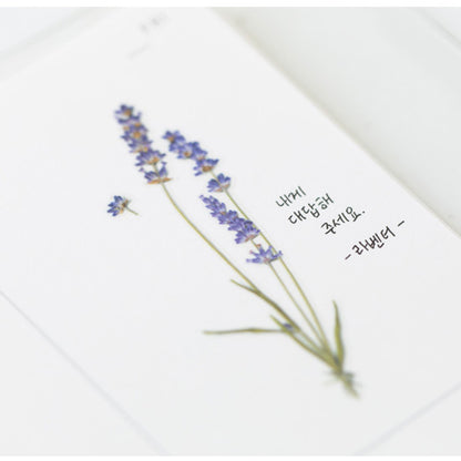 Appree Pressed Flower Sticker - Lavender