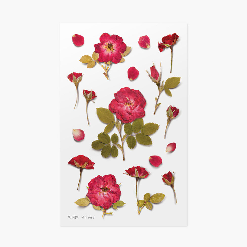 Appree Pressed Flower Sticker - Mini Rose