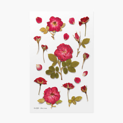 Appree Pressed Flower Sticker - Mini Rose