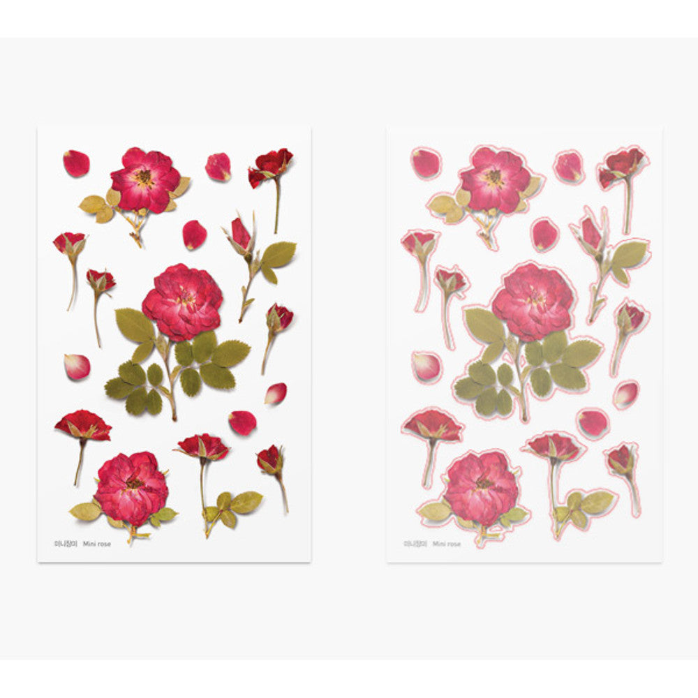 Appree Pressed Flower Sticker - Mini Rose