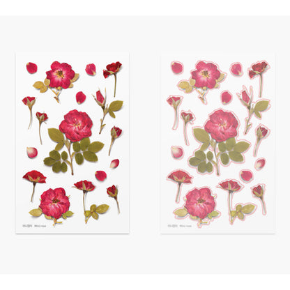 Appree Pressed Flower Sticker - Mini Rose