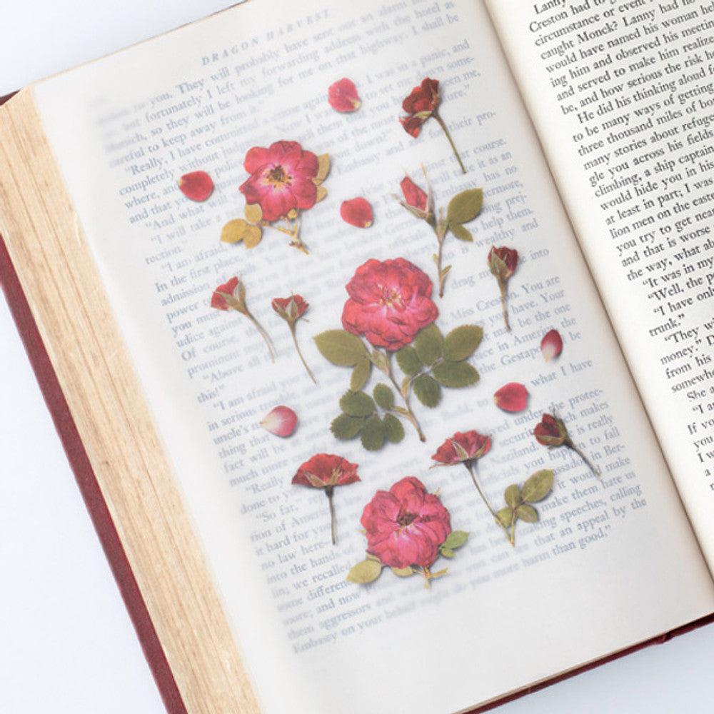 Appree Pressed Flower Sticker - Mini Rose