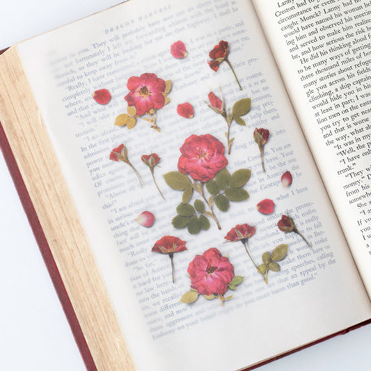 Appree Pressed Flower Sticker - Mini Rose
