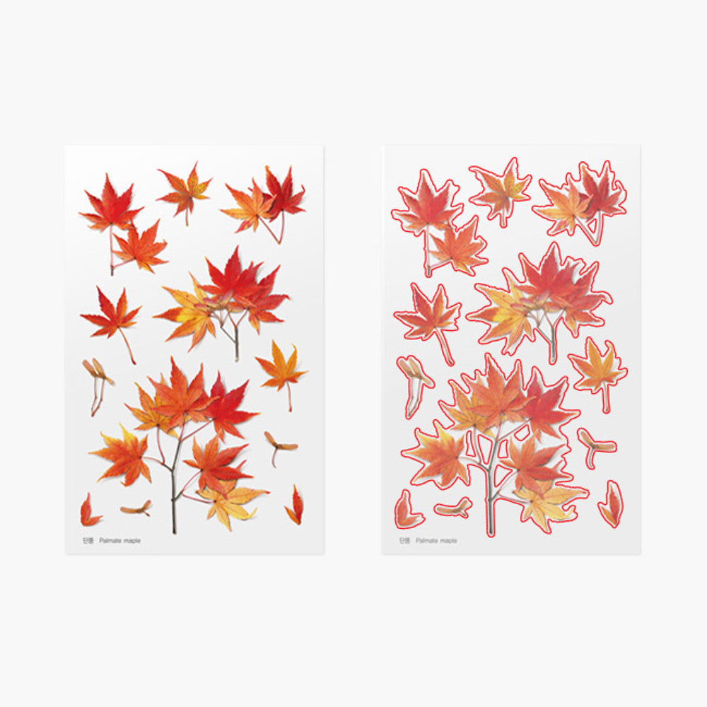 Appree Pressed Flower Sticker - Palmate Maple