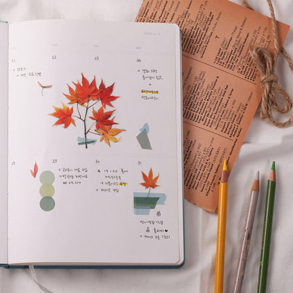 Appree Pressed Flower Sticker - Palmate Maple